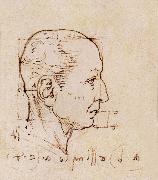 LEONARDO da Vinci Study of the proportion of the head oil painting on canvas